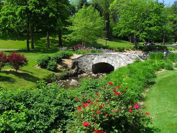 Church Grounds.JPG
