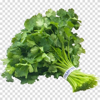 Chutney Mexican cuisine Pesto Coriander Herb, parsley transparent background PNG clipart