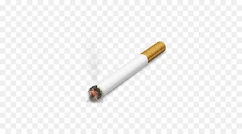 Cigarette ICO CSS-Sprites Icon - cigarette 