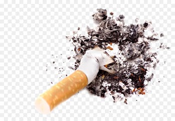 Cigarette Stock photography Royalty-free - Bending cigarettes 