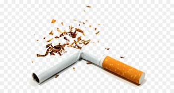 Cigarette Stock photography Smoking - Broken cigarette PNG image 