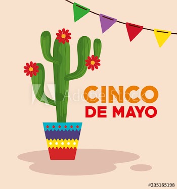 cinco de mayo poster with cactus and decoration design