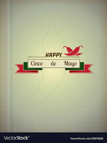 Cinco de mayo vector image