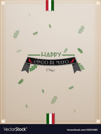 Cinco de mayo vector image
