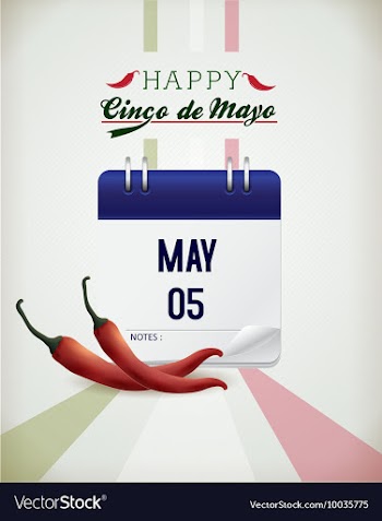 Cinco de mayo vector image