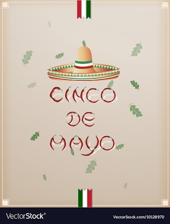 Cinco de mayo vector image