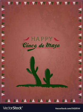 Cinco de mayo vector image