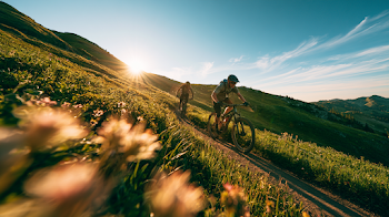 Cinematic Summer Adventure: Cyclists on a Sunlit Trail