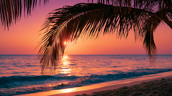 Cinematic Tropical Beach Sunset