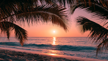 Cinematic Tropical Sunset Beach