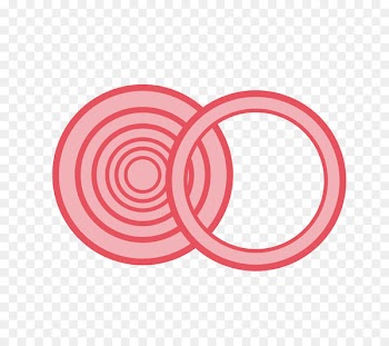 Circle Annulus Image Point Concentric objects - circular ring 