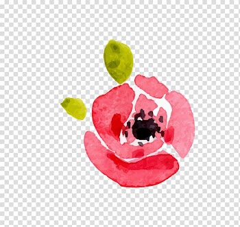 Circle Area Red Petal White, Floral pattern transparent background PNG clipart