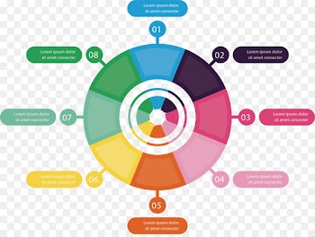 Circle Chart Infographic - Color ring wheel chart 