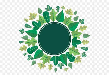 Circle Microsoft Excel - Green circle border 