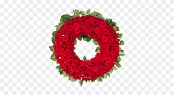 Circle Of Love - Garden Roses
