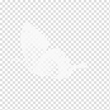 Circle Pattern, White Butterfly transparent background PNG clipart
