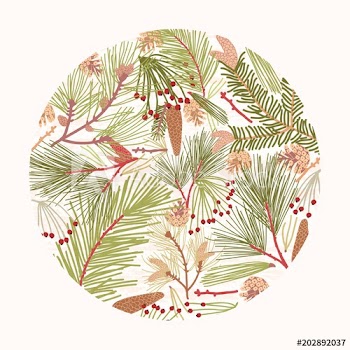 Circular design element, decoration or backdrop composed of elegant branches of coniferous tree, fir or pine needles and cones on white background
