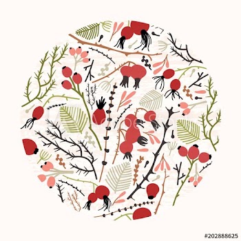 Circular floral decoration or natural decorative design element consisted of tree branches, twigs, leaves and berries or rose hips on white background