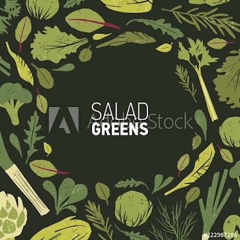Circular frame made of green plants, salad leaves and spice herbs on black background