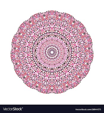 Circular geometrical abstract colorful floral vector image