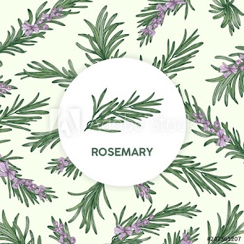 Circular label decorated by rosemary sprig