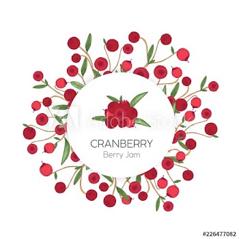 Circular label or tag template with cranberries hand drawn on white background