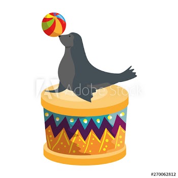 circus seal marine playing with balloon in stage
