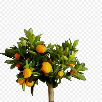 Citrus Artificial flower IKEA Food -  