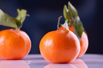 Citrus Fruit