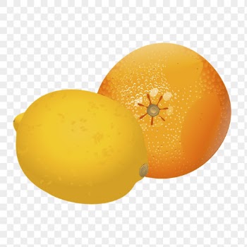 Citrus fruit png sticker, food | Free PNG - rawpixel
