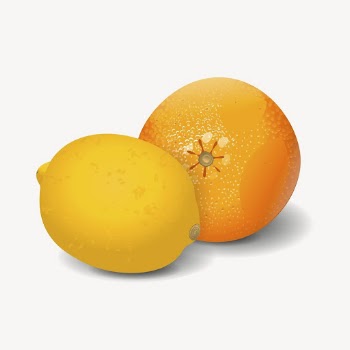 Citrus fruit sticker, food illustration | Free PSD - rawpixel