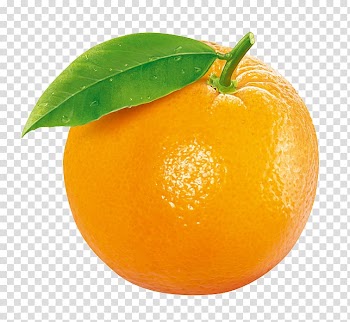 Citrus fruit, Tangerine Clementine Orange Fruit, Orange fruit transparent background PNG clipart