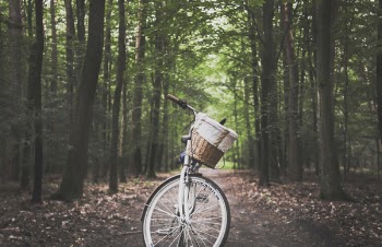 City Bicycle in the Middle of Forest Trail