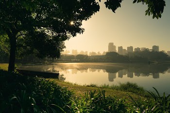 City, Body of Water, and Trees during Day
