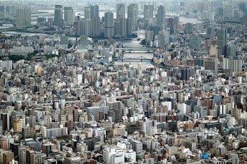 city buildings under sunny sky