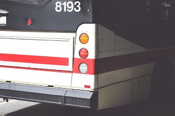 City Bus Rear