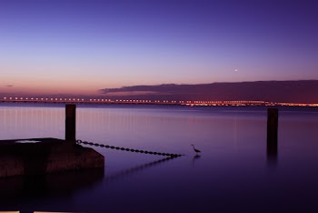 City Lights Beside Body of Water