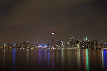 City Lights Night Toronto