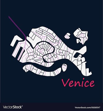 City map of venice with well organized separated vector image