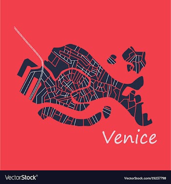 City map of venice with well organized separated vector image