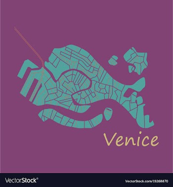 City map of venice with well organized separated vector image