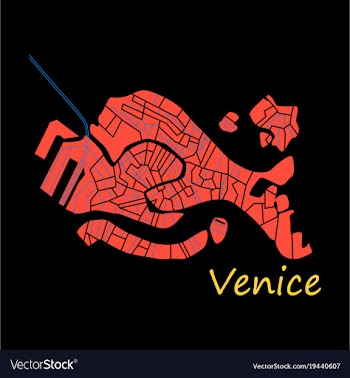 City map of venice with well organized separated vector image