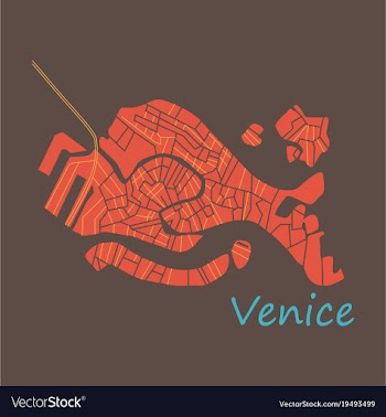 City map of venice with well organized separated vector image