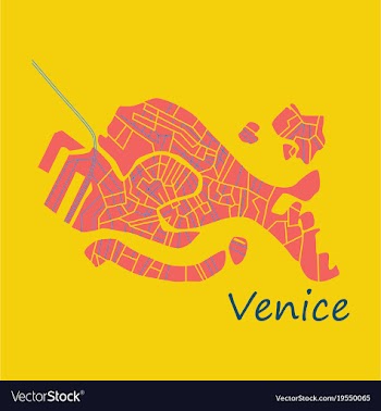 City map of venice with well organized separated vector image