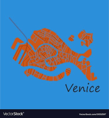 City map of venice with well organized separated vector image