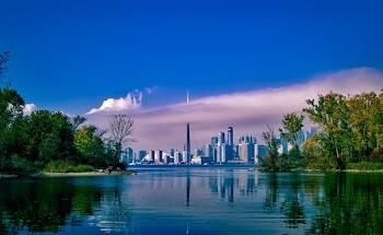City Near the Forest and Body of Water