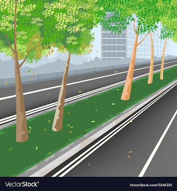 City streets vector image