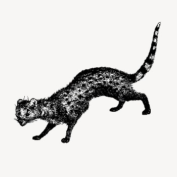 Civet animal clipart, vintage hand | Free Vector - rawpixel