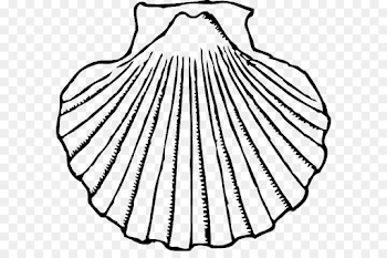 Clam Clip art Openclipart Seashell Image - seashell png download ...