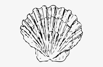 Clam Grilled Seafood Cooking Free Photo From - Shells Clipart ...